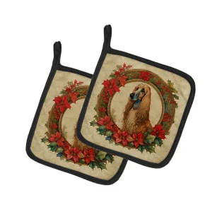 Christmas Flowers Pot Holders